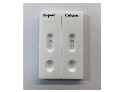 过敏原特异性IgE抗体检测试剂盒（芯片法）EBS Immunofluorescence specific IgE assay kit-Chinese 6 items